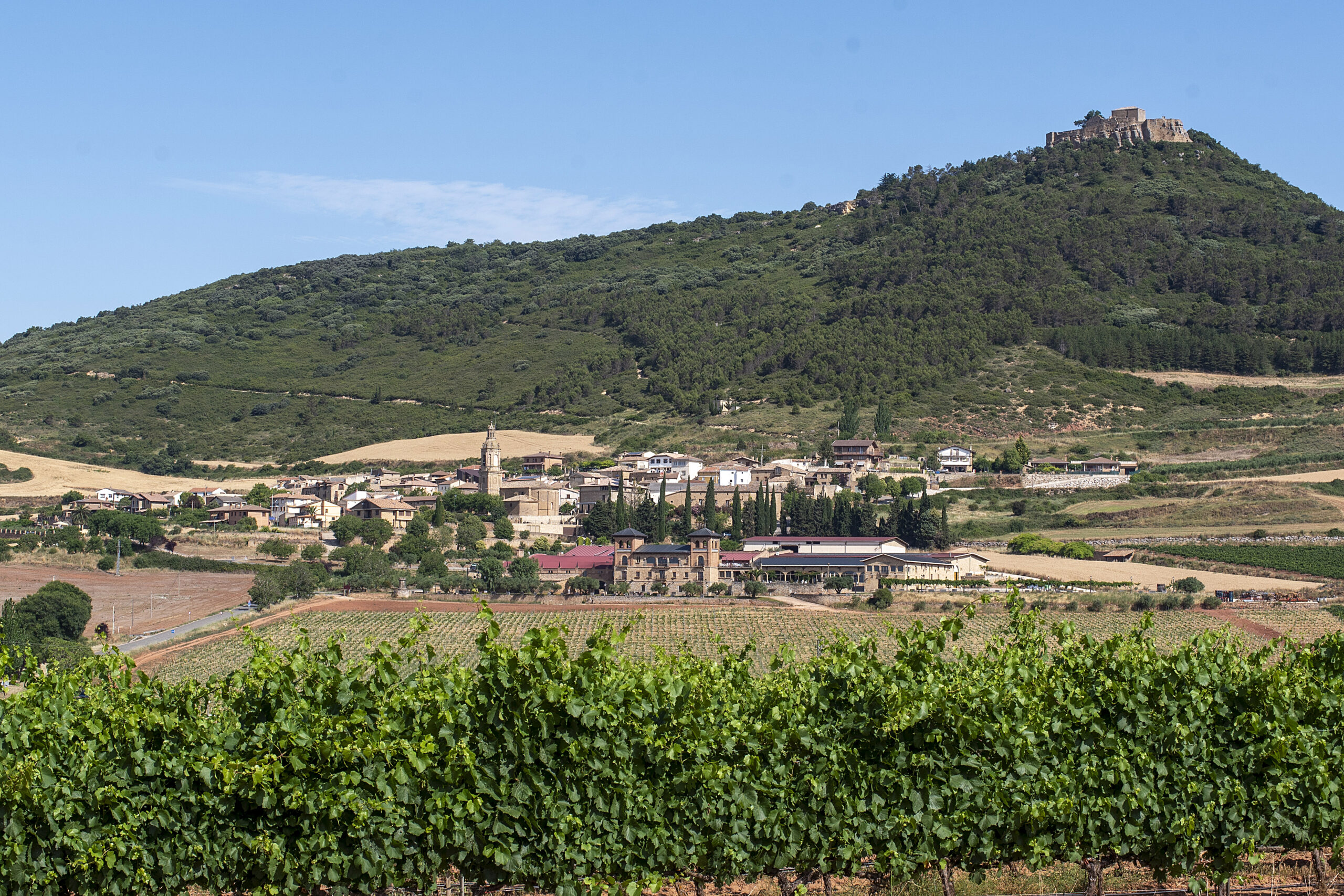 Bodegas Castillo de Monjardín